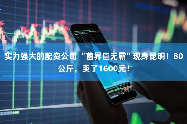 实力强大的配资公司 “菌界巨无霸”现身昆明！80公斤，卖了1600元！