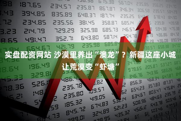 实盘配资网站 沙漠里养出“澳龙”？新疆这座小城让荒漠变“虾塘”